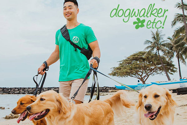 image of home page for Dogwalker Etc. website
